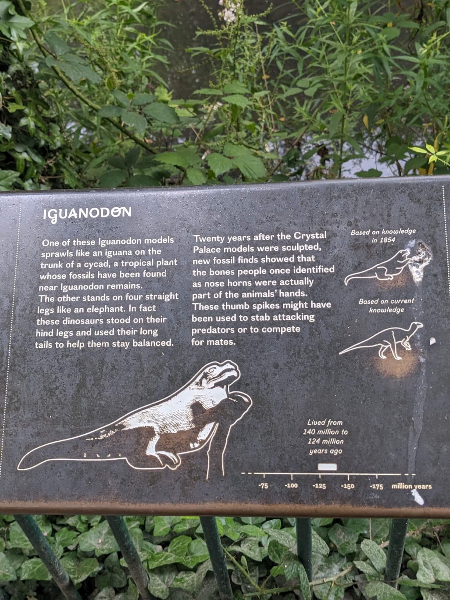 PXL_20230703_132518329