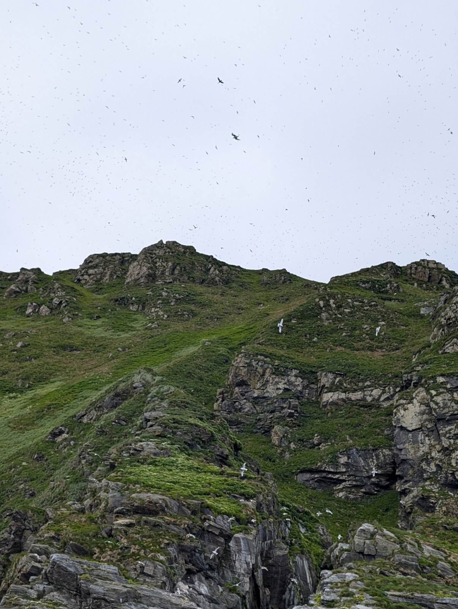 H11
