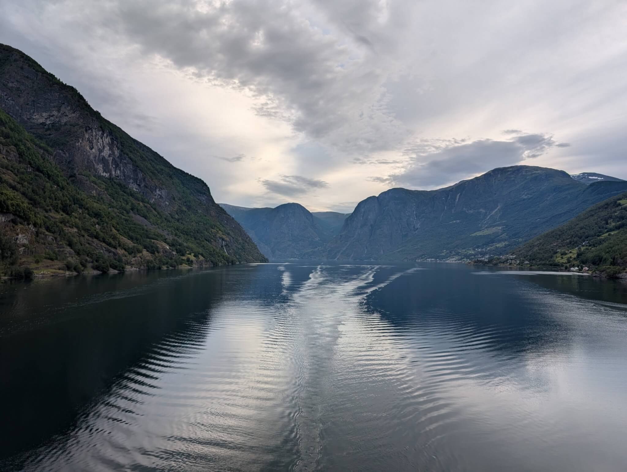 FLam26