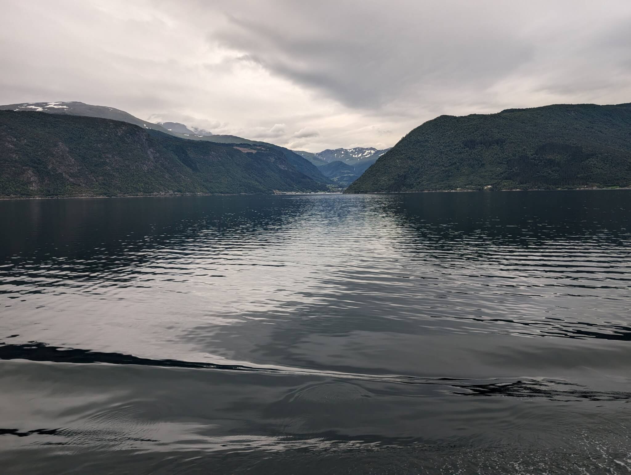 Flam29